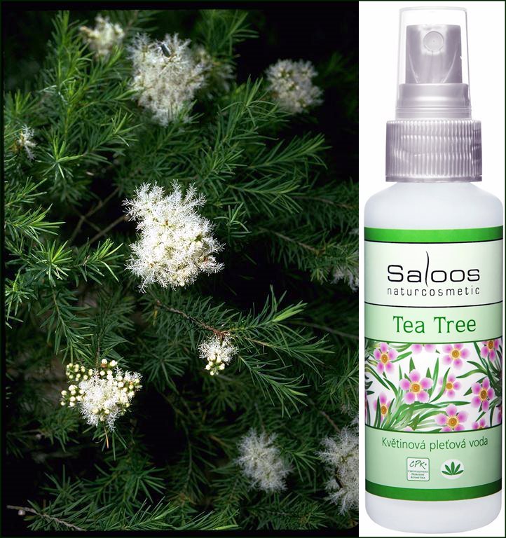 Saloos Tea-Tree
